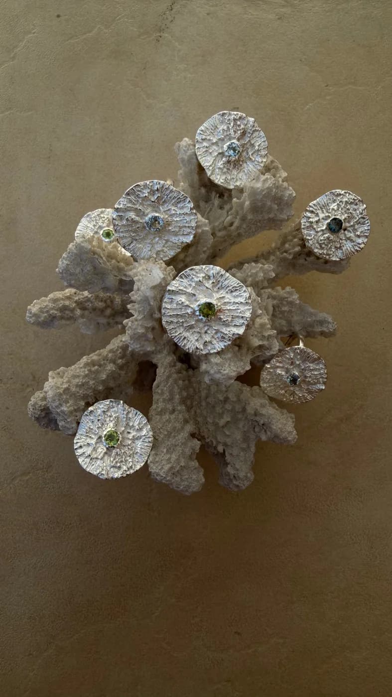 Core ring, טבעת – תמונה 4