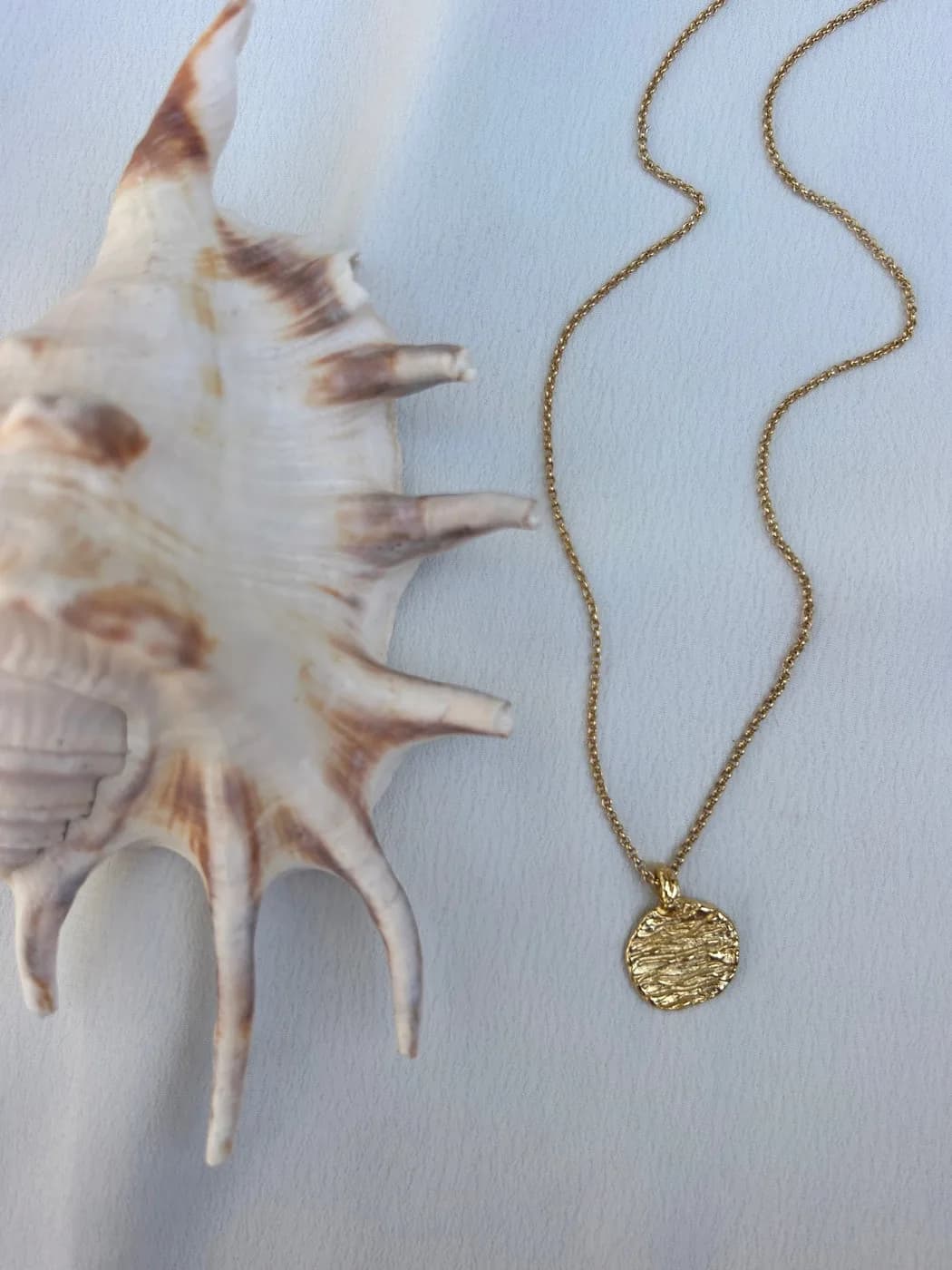 Zebra necklace, שרשרת כסף 925 או ציפוי זהב – תמונה 3